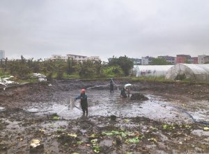 泰州河道鱼塘清淤